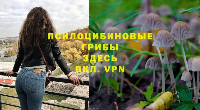 Галлюциногенные грибы MAGIC MUSHROOMS  продажа наркотиков  гидра рабочий сайт  Прокопьевск 